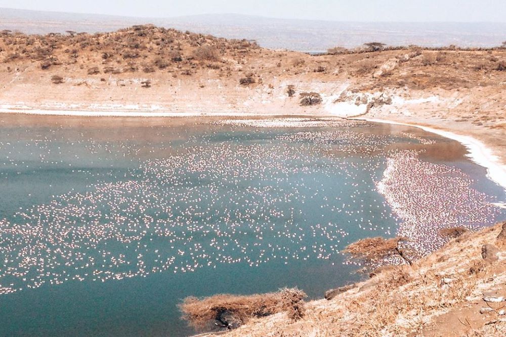 Abijata-Shalla-lakes-photos