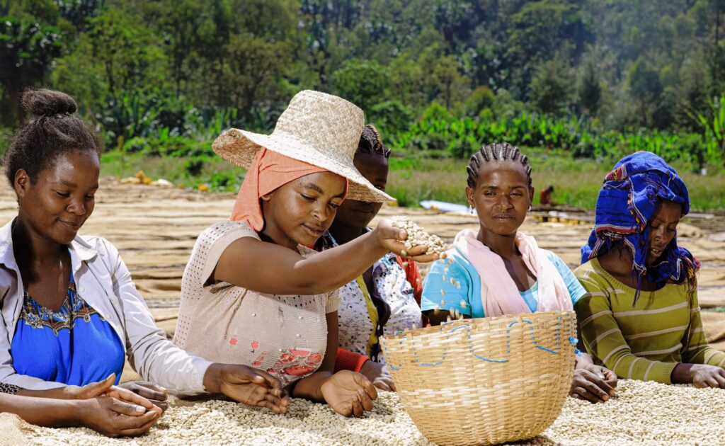 Ethiopia-YCFCU-Cooperative1