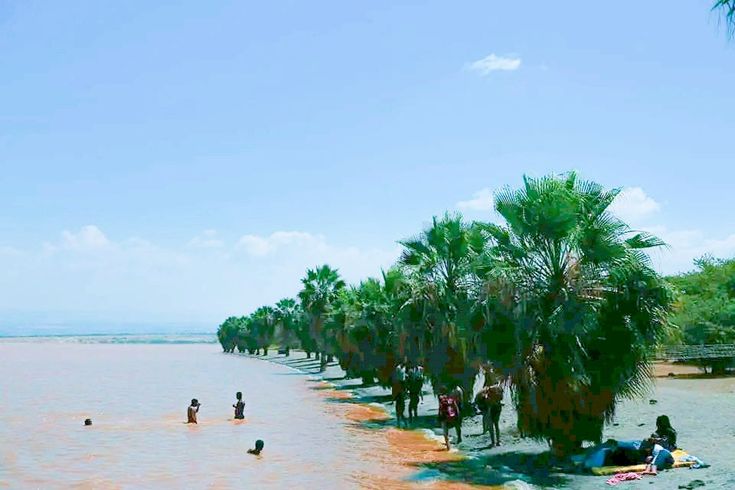 a3a8d7635eb3de27e0016a837d858a4c