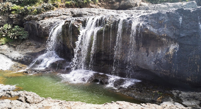 one-day-debre-libanos-monastery-much-more-03